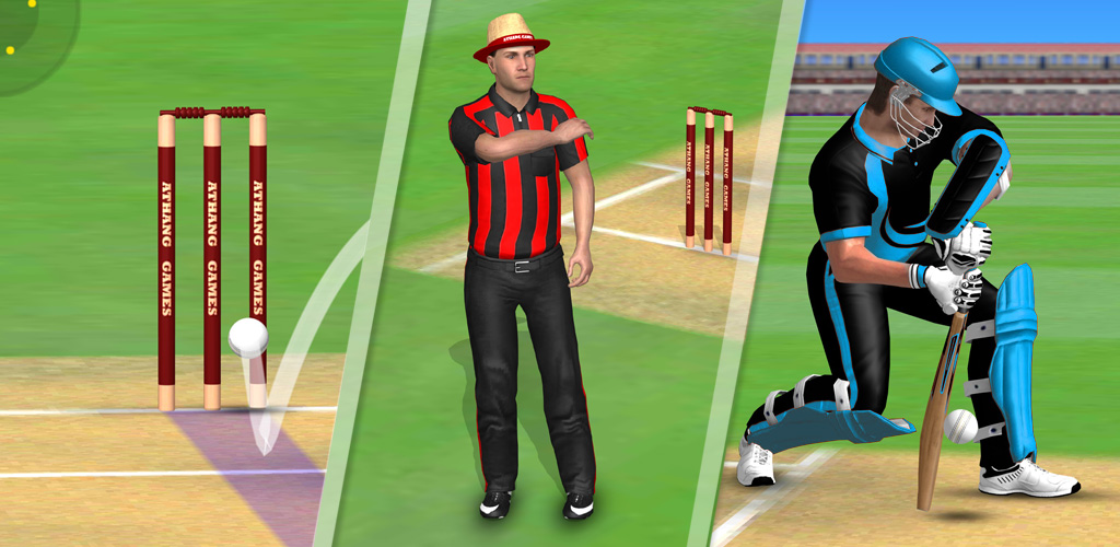 Cricket World Domination Mod