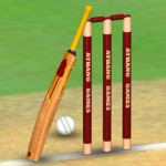 Cricket World Domination Mod