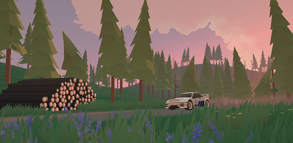 N3Rally Mod