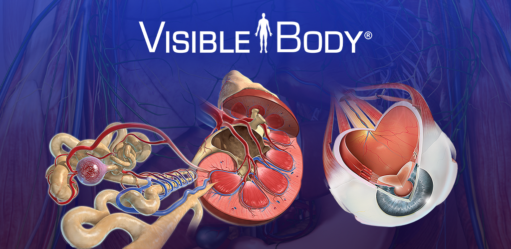 Human Anatomy Atlas