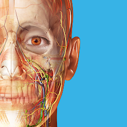 Human Anatomy Atlas icon