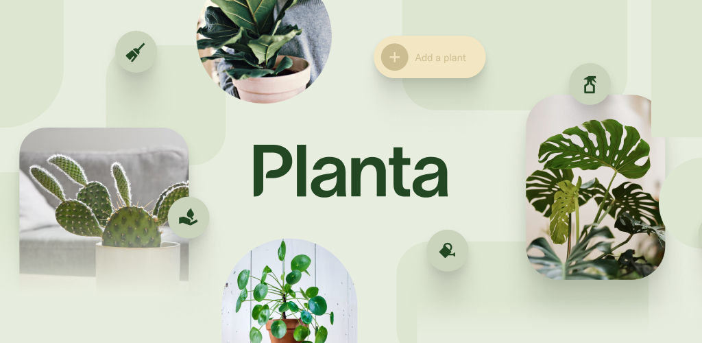 Planta